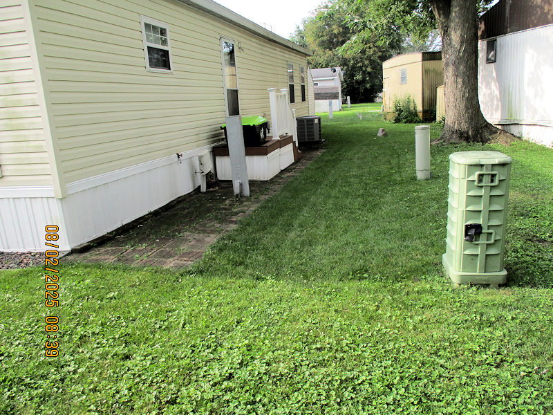 20250802 0837 yard west.jpg